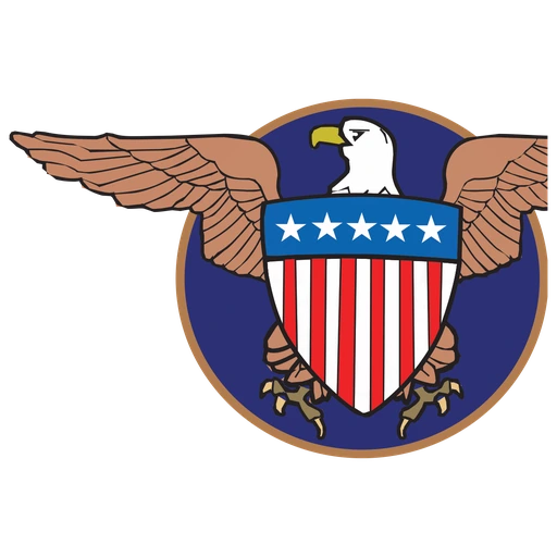 American Visa Brasil